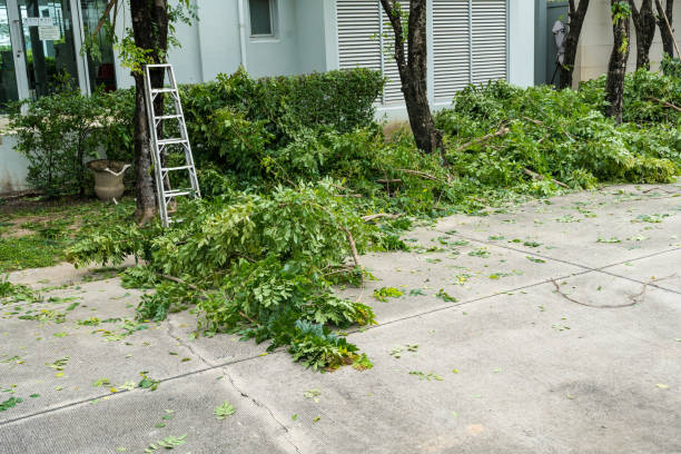 Best Hazardous Tree Removal  in Charlestown, IN