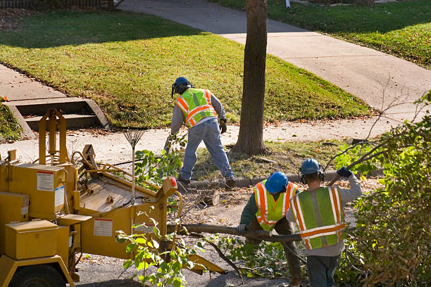 Best Tree and Shrub Care  in Charlestown, IN